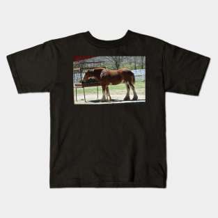 Clydesdale Kids T-Shirt